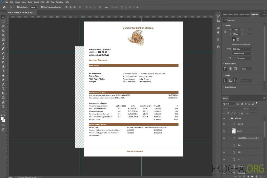 Modèle de relevé de la Banque Commerciale d'Ethiopie facile à remplir au format Excel et PDF template